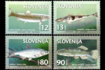 slo1--178-181
