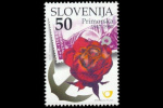 slo1--207