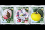 slo1--302-304