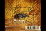 slo1--bl44