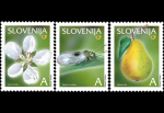 slo1--479-481