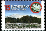 slo1--255