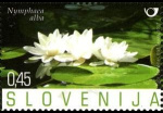 slo1--655