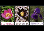 slo1--673-675