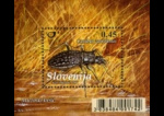 slo1--bl44