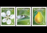 slo1--479-481