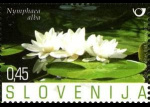 slo1--655