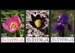 slo1--673-675