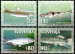 slo1--178-181