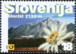 slo1--287