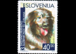 slo1--29