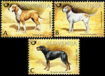 slo1--556-558