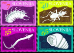 slo1--60-63