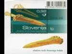 slo1--bl46
