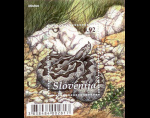 slo1--bl51