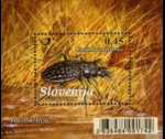 slo1--bl44