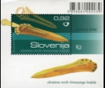 slo1--bl46