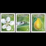 slo1--479-481