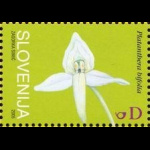 slo1--561