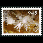 slo1--634