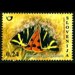 slo1--645