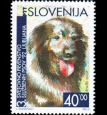 slo1--29