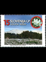 slo1--255