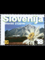 slo1--287