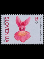 slo1--560