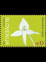 slo1--561