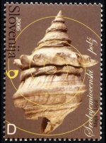 slo1--584