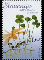 slo1--592