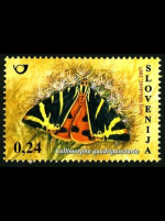 slo1--645