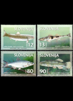 slo1--178-181