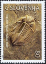 slo1--295