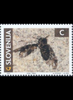 slo1--394