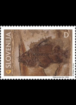 slo1--466