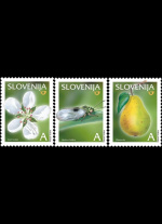 slo1--479-481