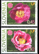 slo1--846a-847a