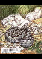 slo1--bl51
