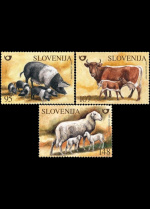 slo1--438-440