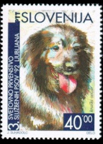 slo1--29