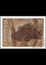 slo1--466