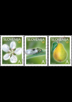 slo1--479-481
