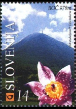slo1--226