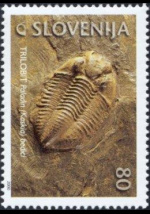 slo1--295