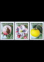 slo1--302-304