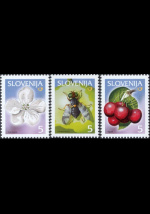 slo1--313-315