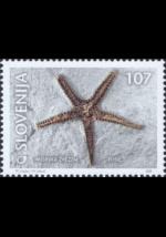 slo1--347
