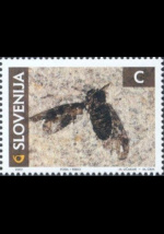 slo1--394
